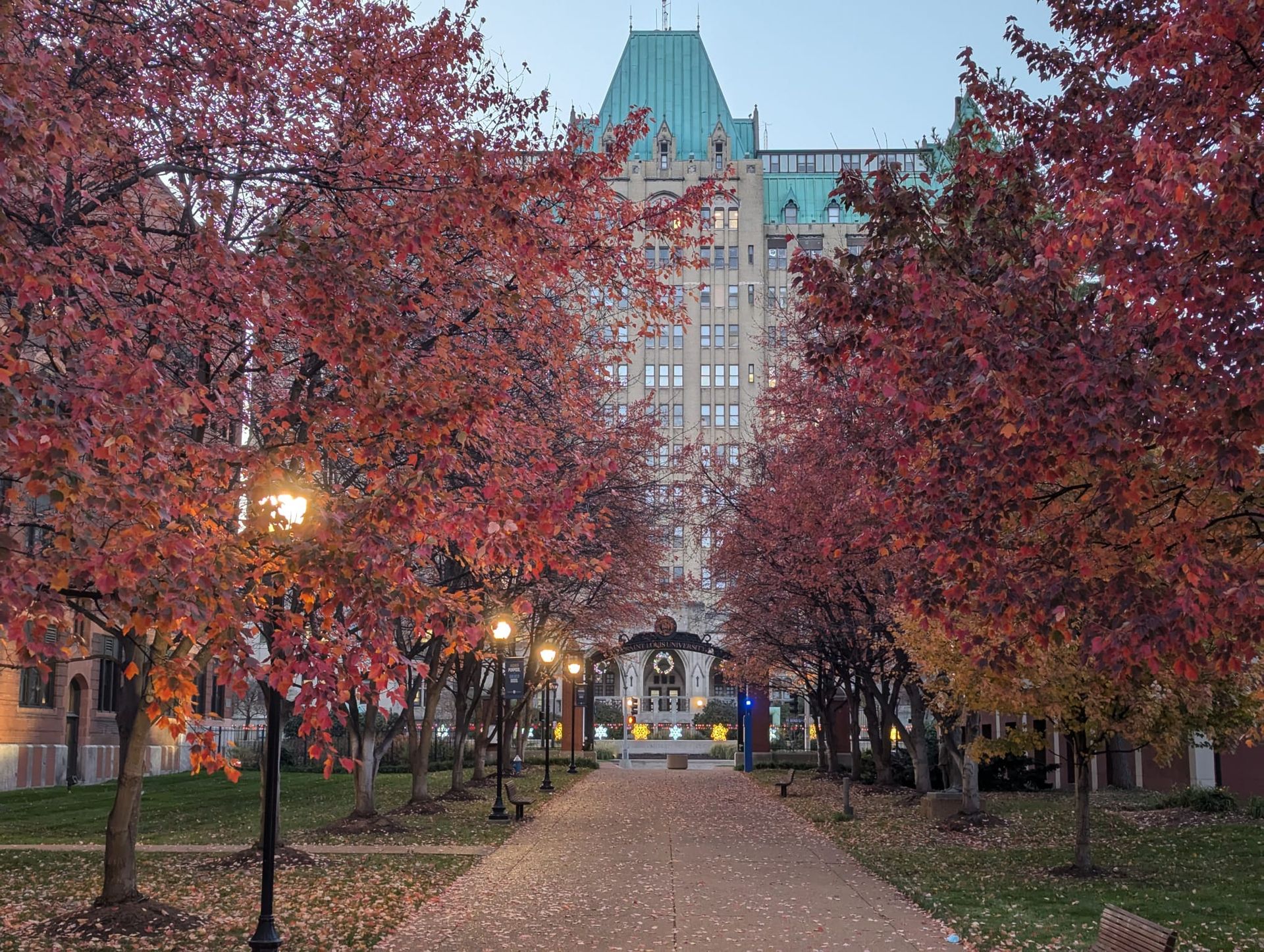 Saint Louis university school of medicine